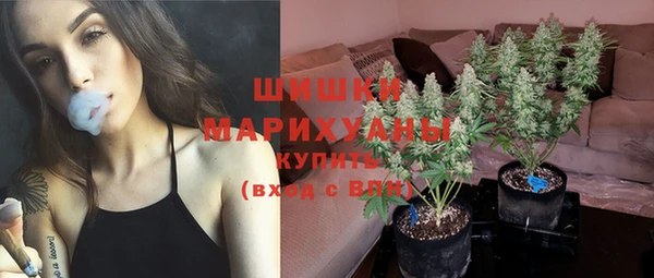 mdpv Богданович
