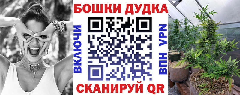 omg tor Мезень Канабис White Widow